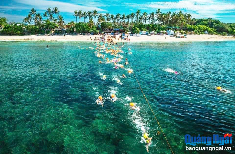 Giải bơi vượt biển Lý Sơn 2025 sẽ diễn ra vào ngày 8/6/2025