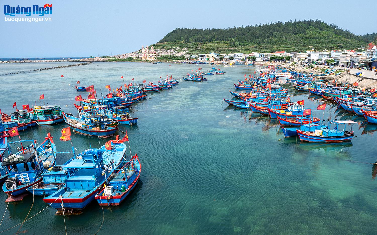 Khảo sát du lịch Khám phá Quảng Ngãi - Nơi biển xanh và văn hóa hội tụ