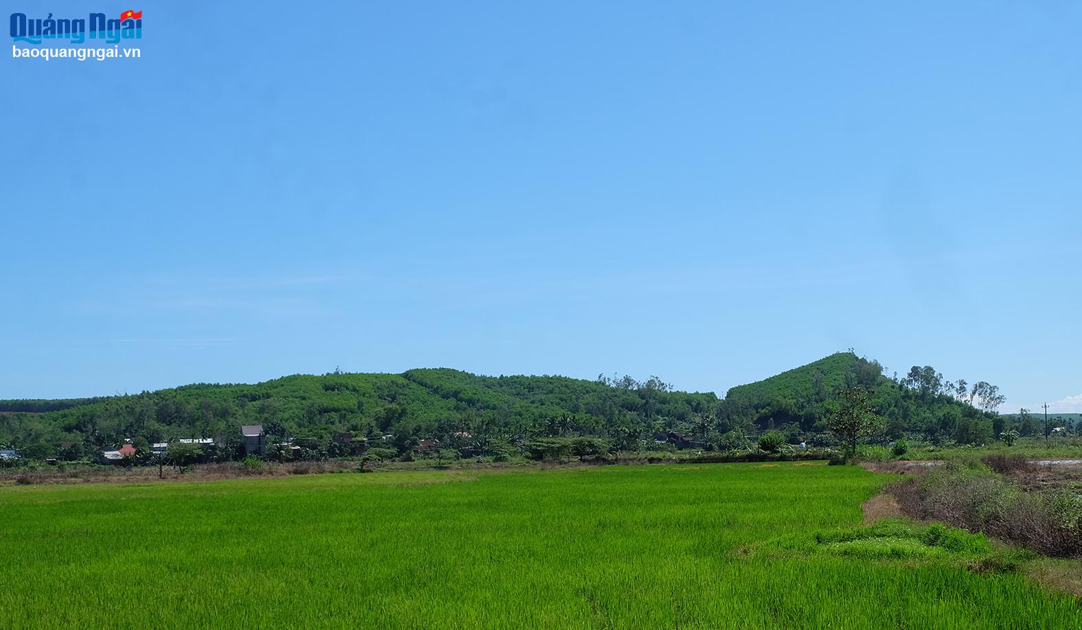 Cử tri huyện Mộ Đức thống nhất tên các xã: Long Phụng, Mỏ Cày, Mộ Đức và Lân Phong