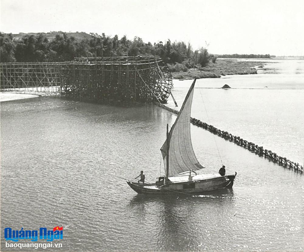 Mối tương giao giữa rừng và biển từ ngàn xưa