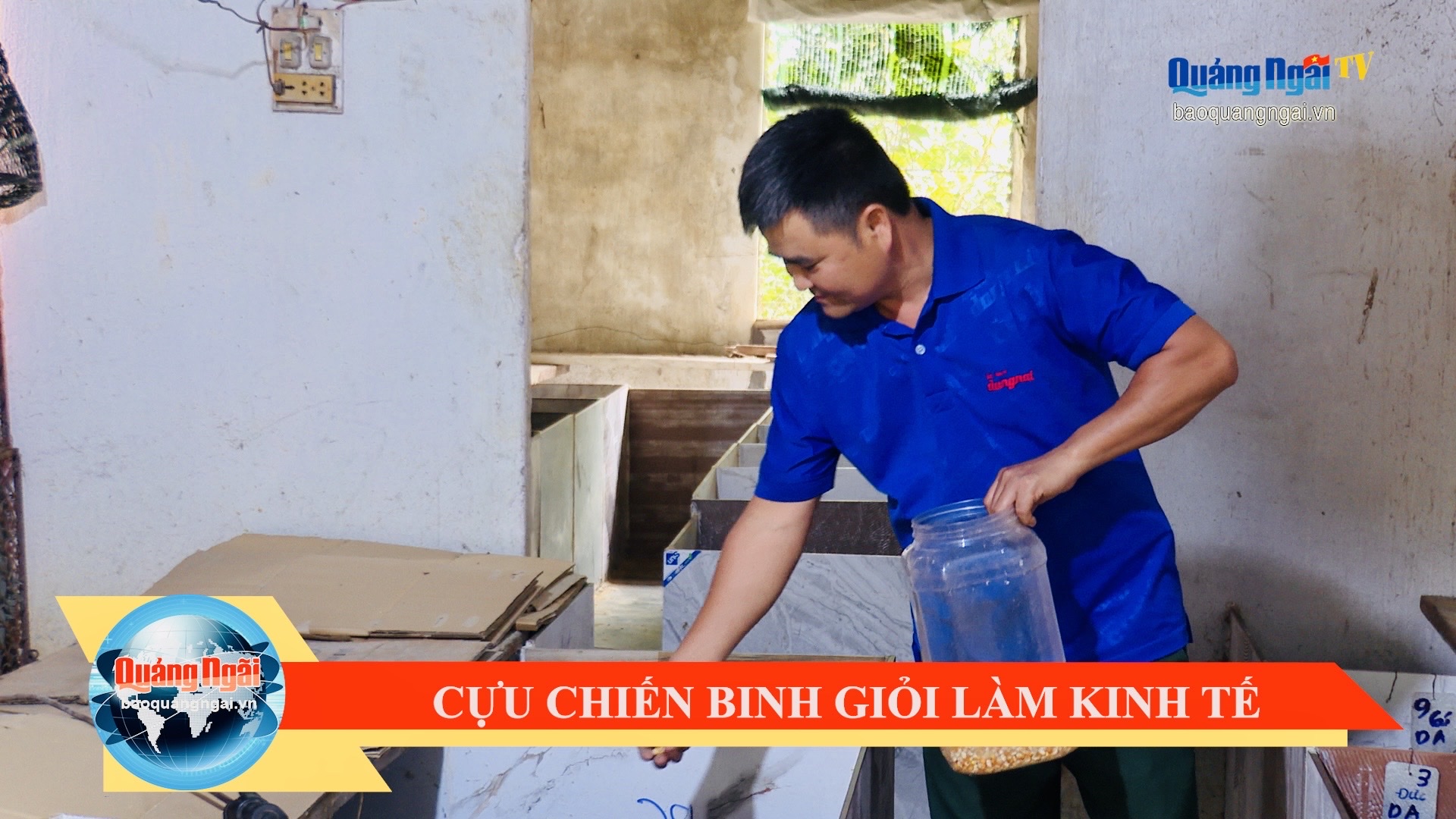 [Video]. Cựu chiến binh giỏi làm kinh tế