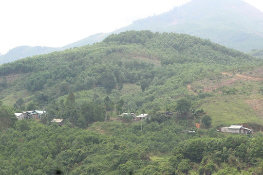 Thông tin về địa giới hành chính giữa xã Trà Thanh, huyện Trà Bồng (Quảng Ngãi) và xã Trà Giáp, huyện Bắc Trà My (Quảng Nam)