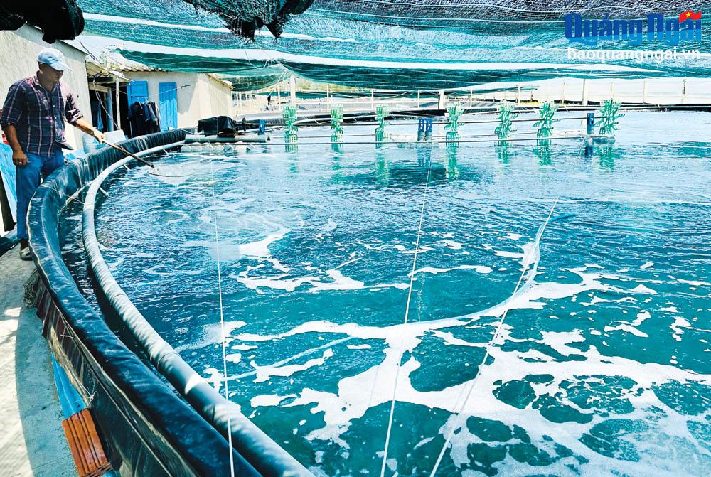 Những chuyển biến trong ứng dụng khoa học và công nghệ vào sản xuất