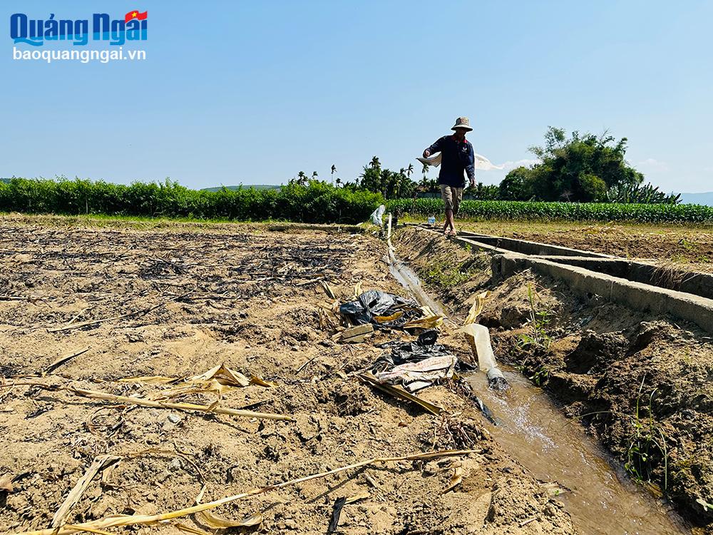 Ứng phó với khô hạn