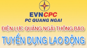 Tuyển dụng lao động năm 2024