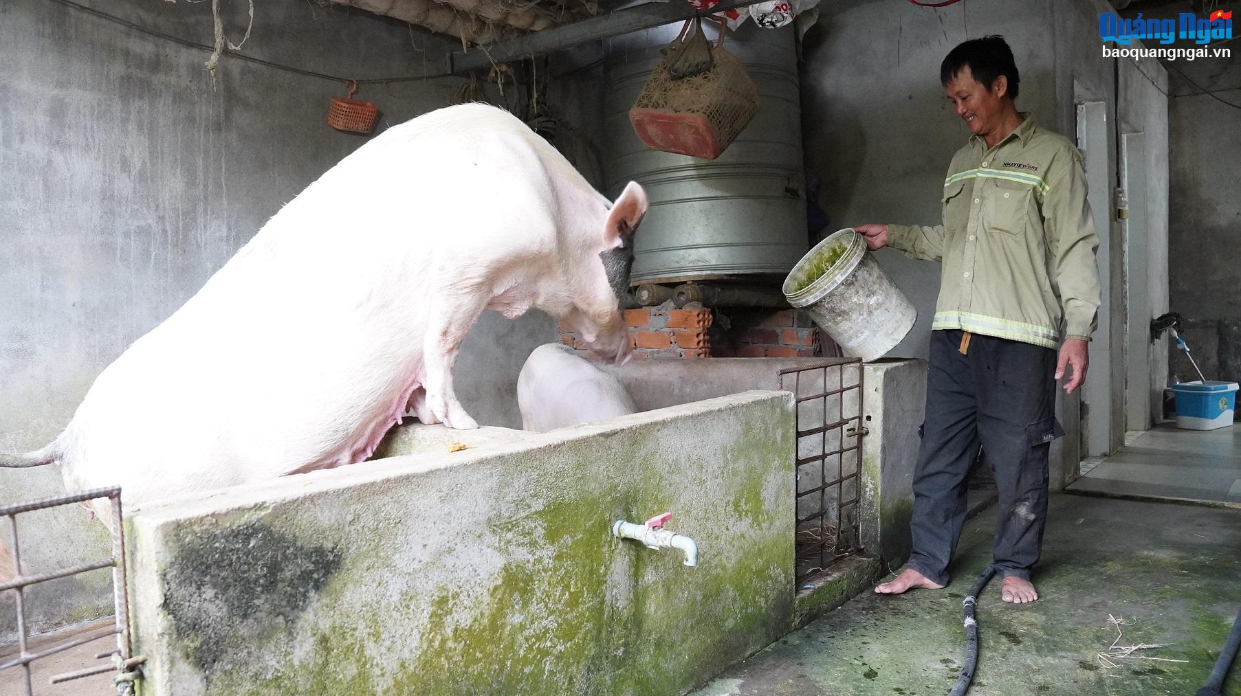 Giúp người nghèo an cư, lạc nghiệp