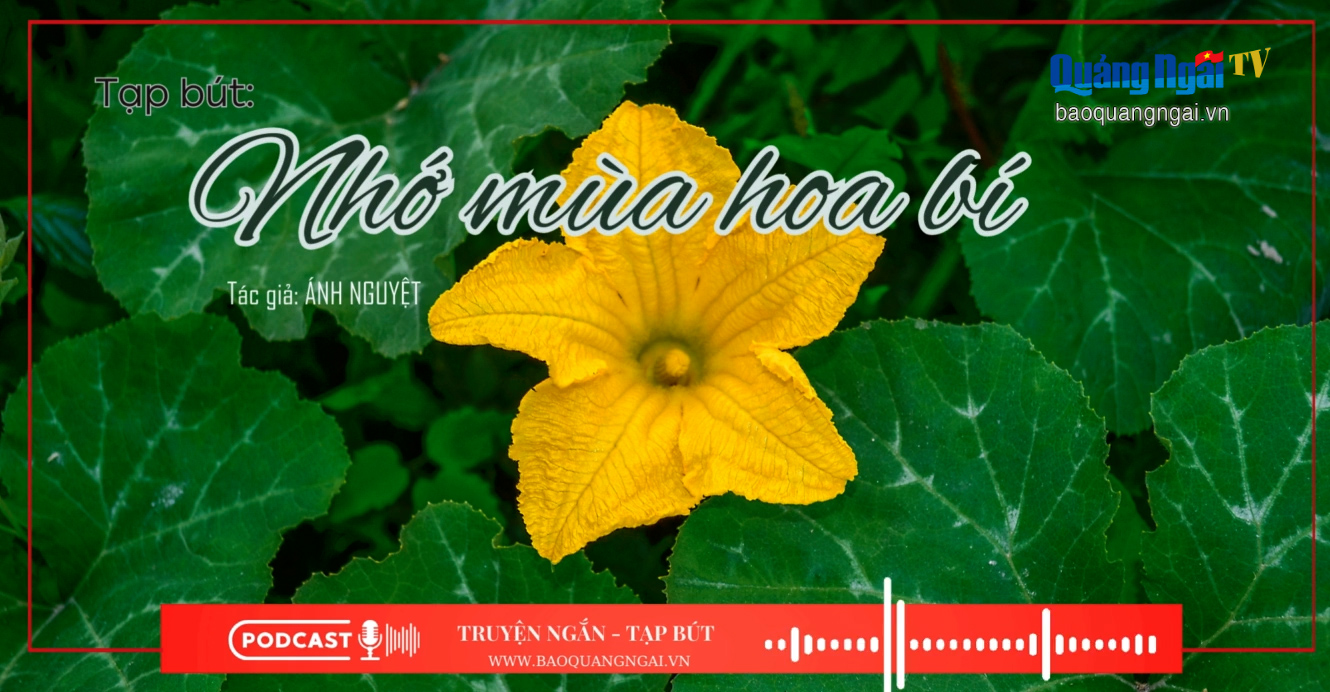 [Podcast]. Nhớ mùa hoa bí