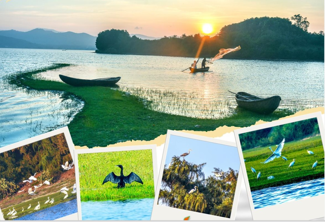 Cảnh đẹp ở đầm An Khê