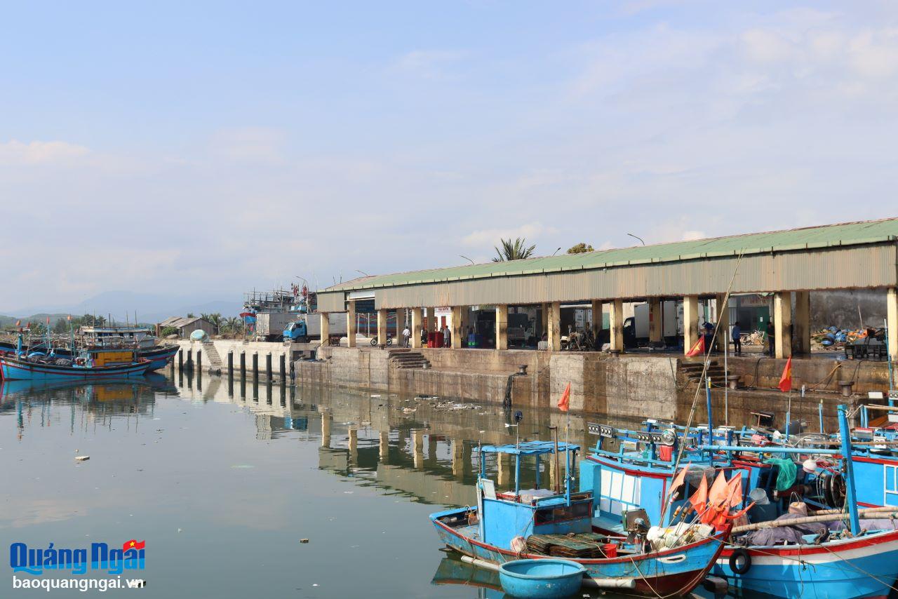 Tàu cá… “ly hương”