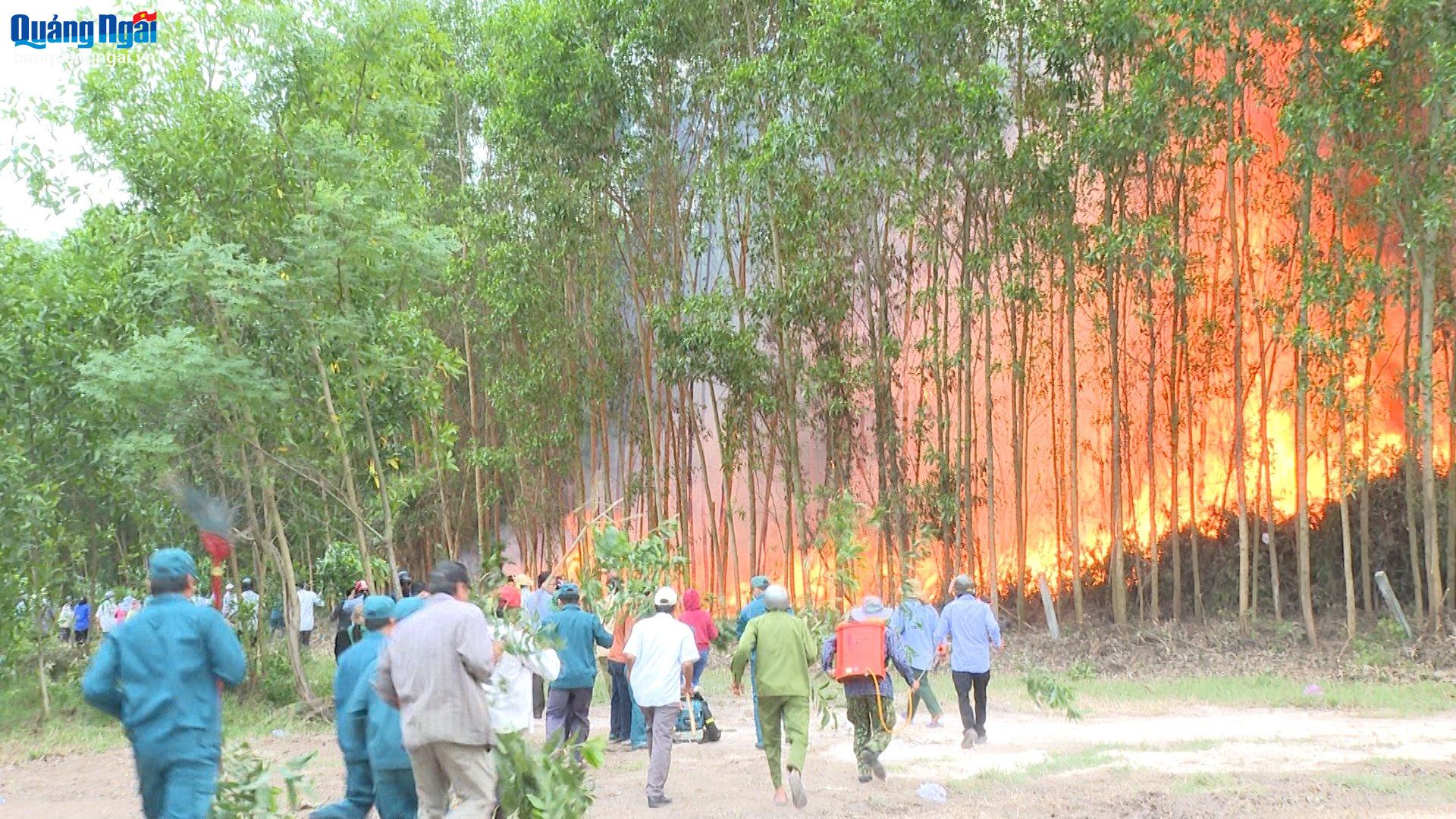 Diễn tập ứng phó cháy rừng năm 2024