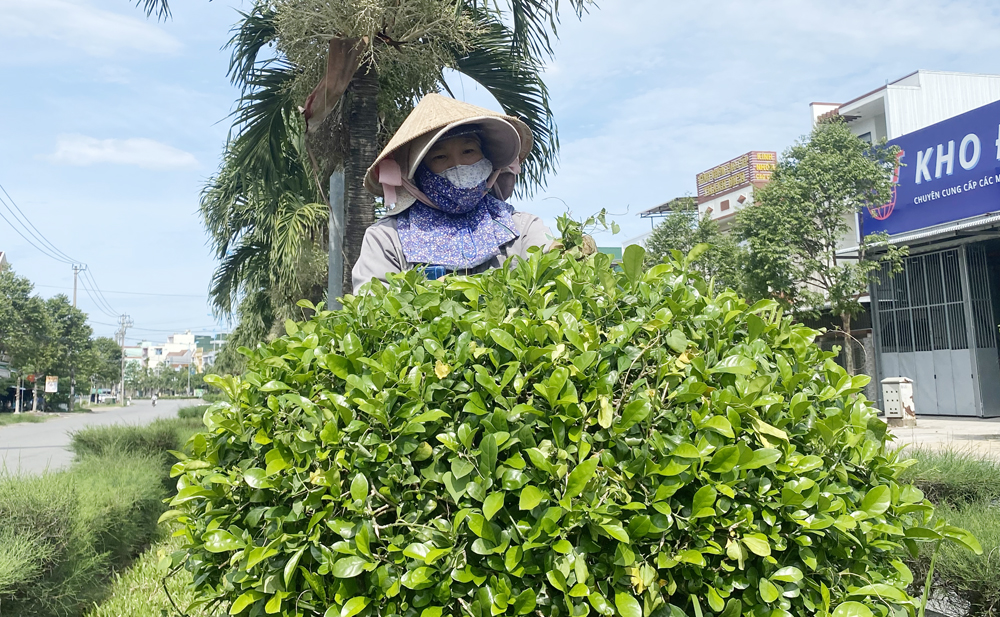 Điểm tựa cho người lao động lúc rủi ro