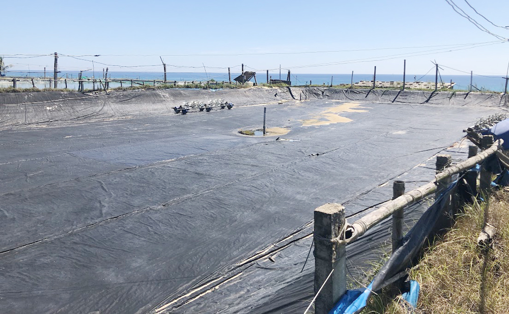 Tái cơ cấu ngành thủy sản: Nhiều điểm nghẽn cần tháo gỡ