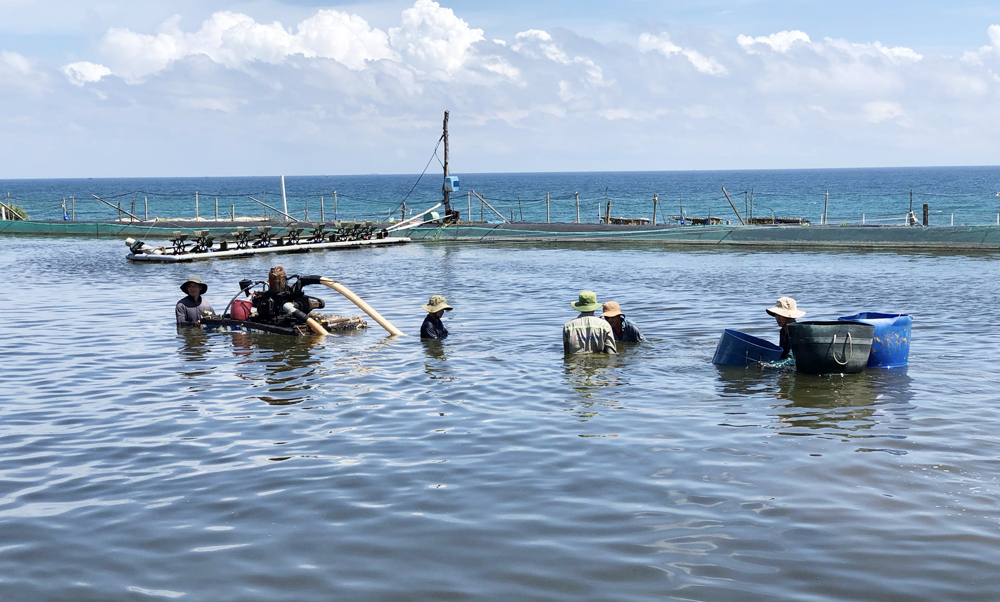 Nắng nóng, nuôi trồng thủy sản gặp khó