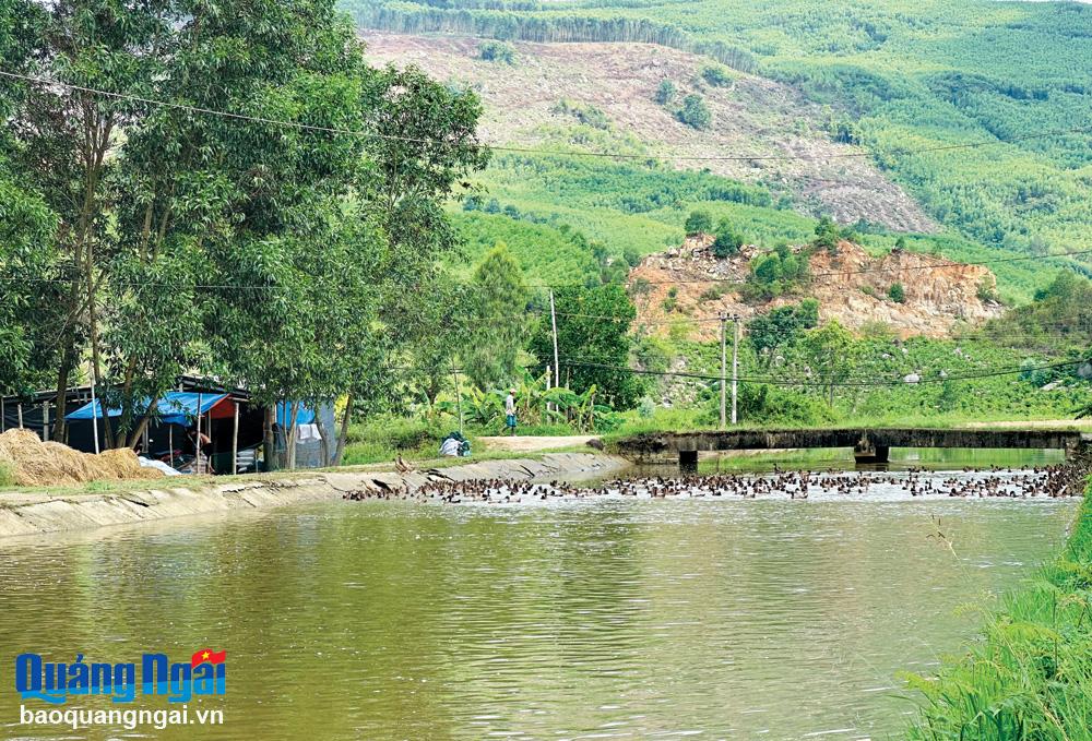 Xử lý vi phạm hành lang an toàn thủy lợi