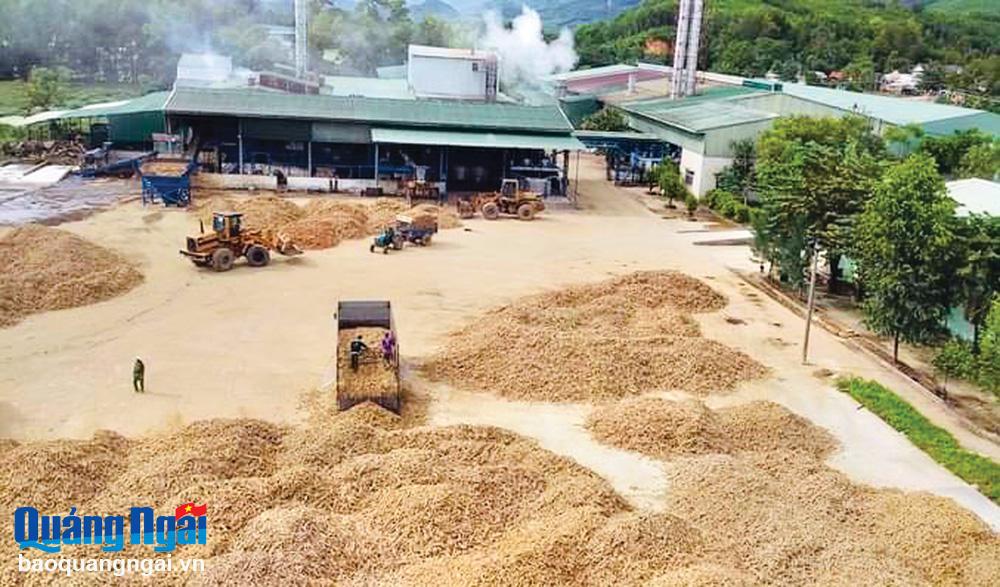 Sản xuất gắn với chế biến