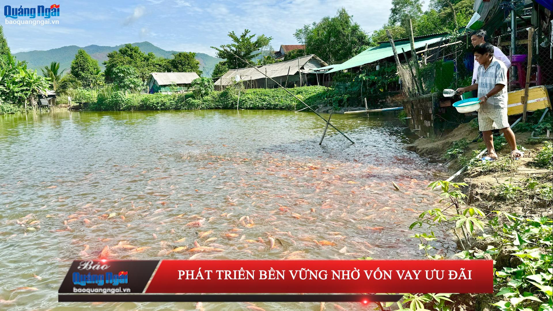 [Video]. Phát triển bền vững nhờ vốn vay ưu đãi