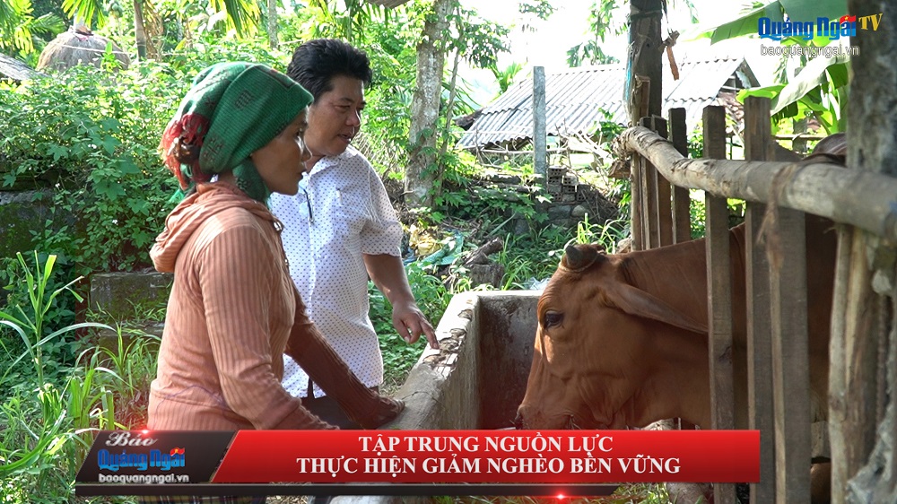 [Video]. Tập trung nguồn lực thực hiện giảm nghèo bền vững