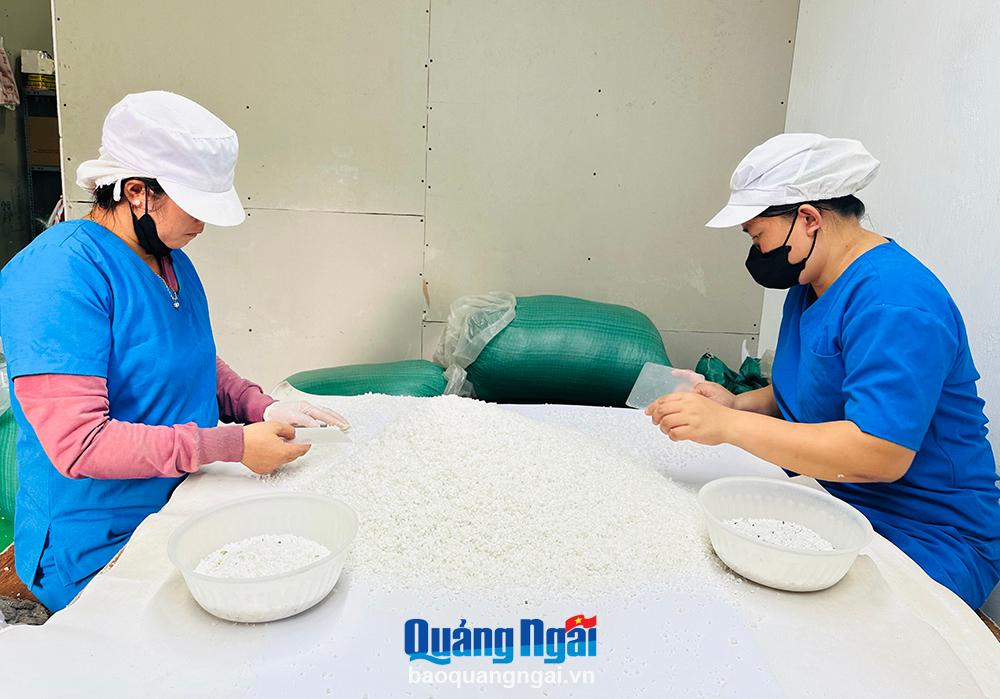 Bấp bênh nghề muối