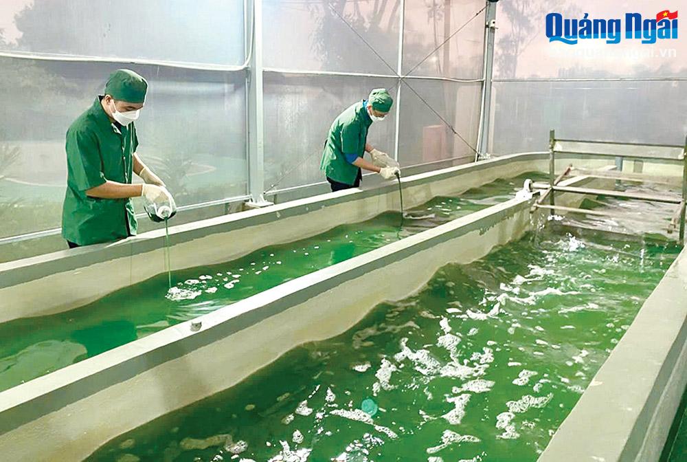 Tháo gỡ khó khăn cho hợp tác xã