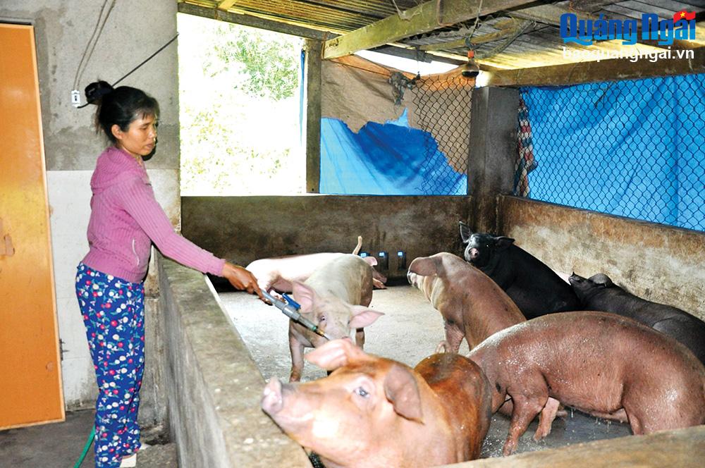 Phụ nữ vùng cao vươn lên phát triển kinh tế