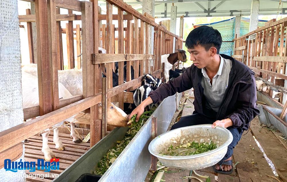 Phát huy sức trẻ trong công tác giảm nghèo