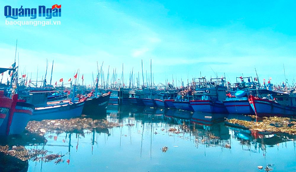 Ô nhiễm môi trường tại các cảng cá 