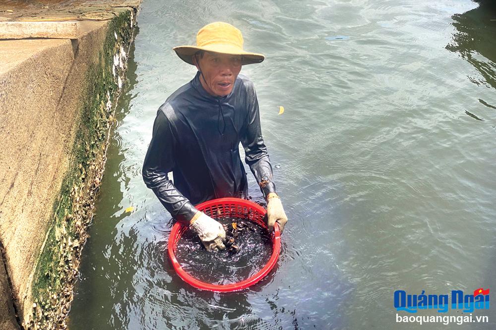 Dầm mình bắt vẹm