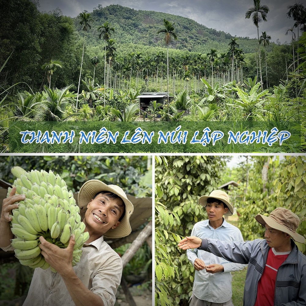 Thanh niên lên núi lập nghiệp