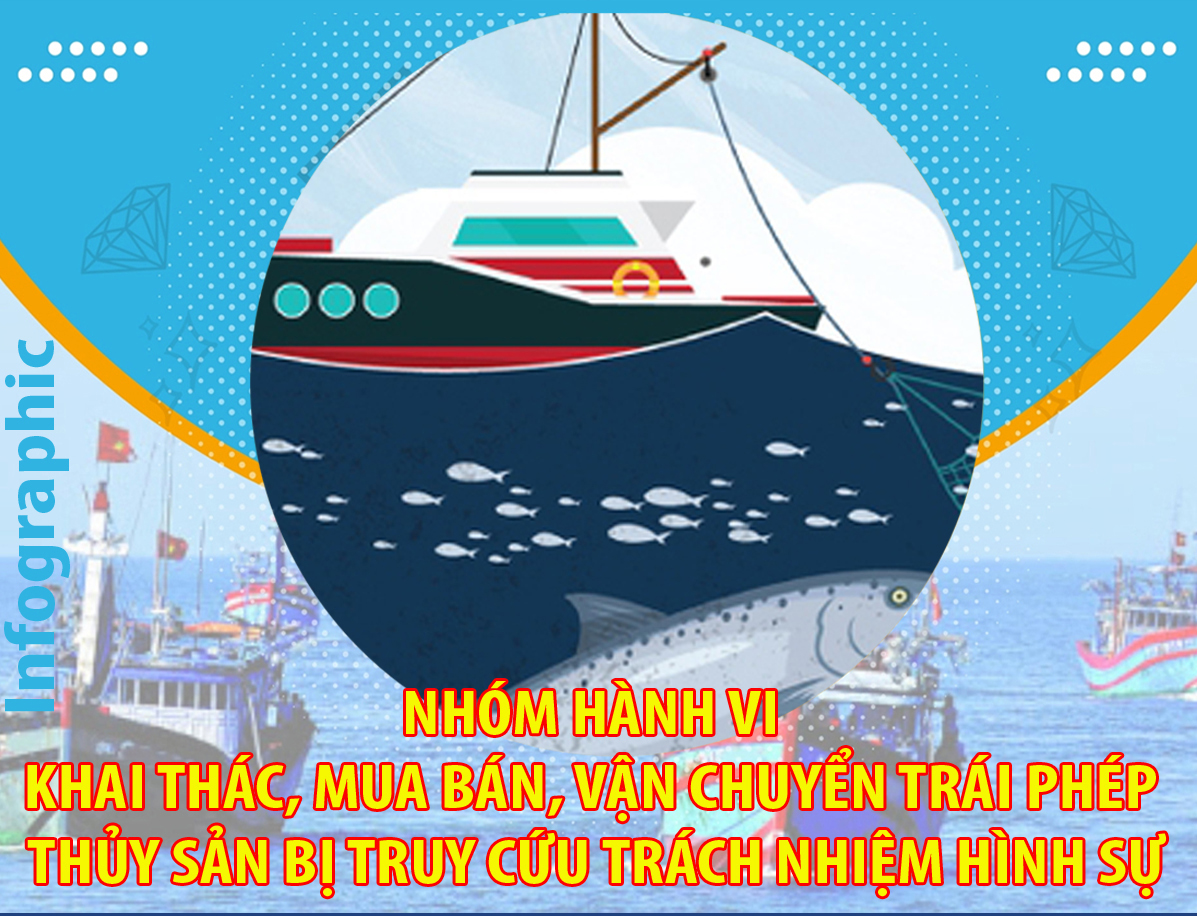 [Infographic]. Nhóm hành vi khai thác, mua bán, vận chuyển trái phép thủy sản bị truy cứu trách nhiệm hình sự