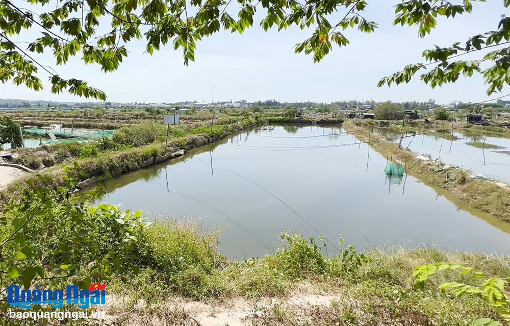 Dự án Nâng cấp, mở rộng khu neo đậu tránh trú bão kết hợp cảng cá Tịnh Hòa vướng mặt bằng