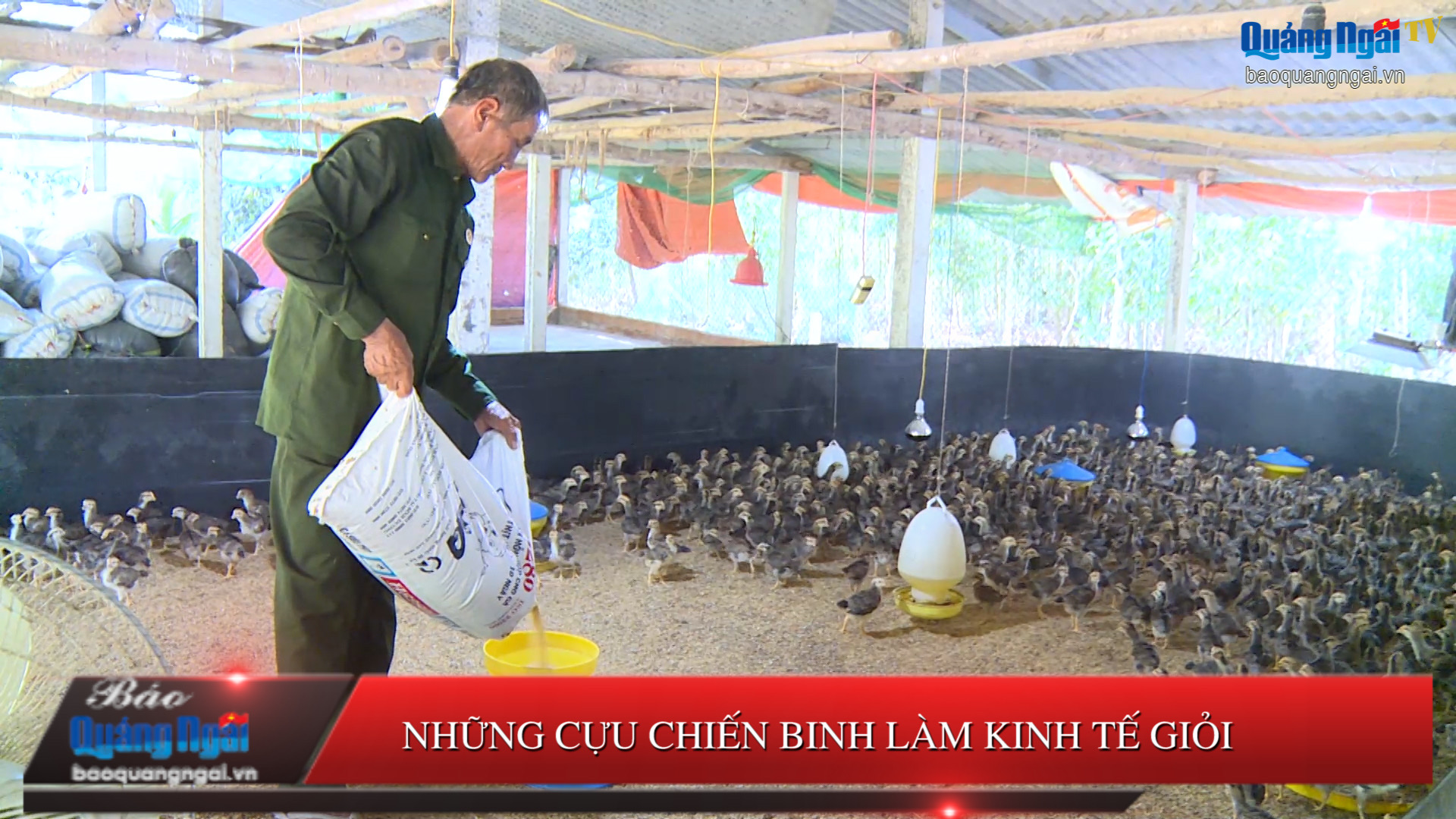 [Video]. Những cựu chiến binh làm kinh tế giỏi