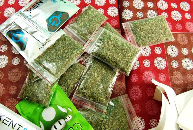 Cảnh giác với cỏ Mỹ