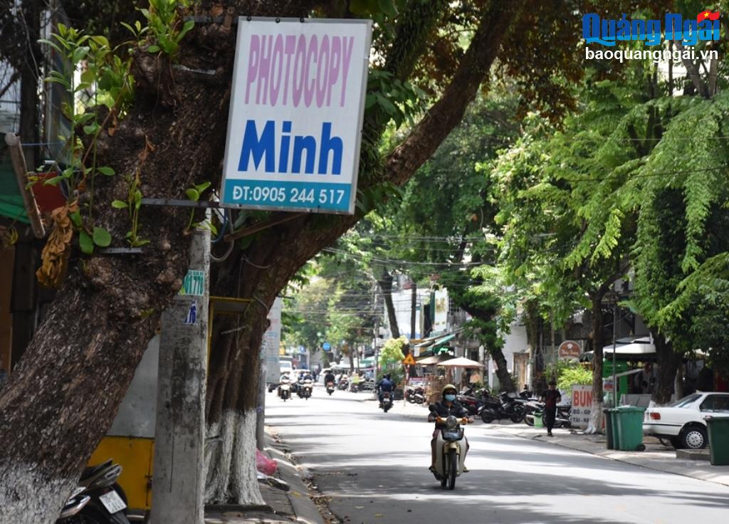 Ứng xử với cây xanh