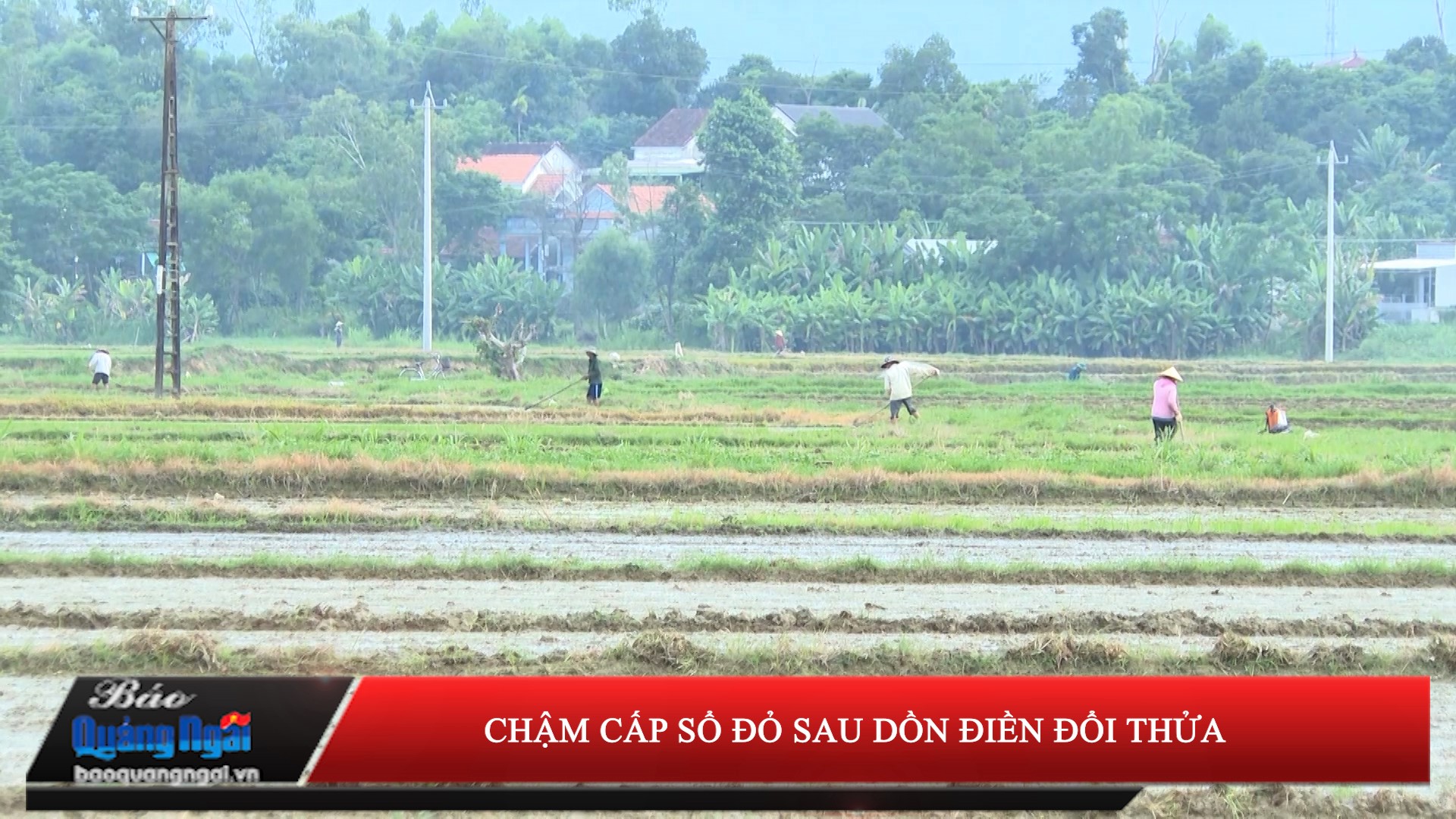 [Video]. Chậm cấp sổ đỏ sau dồn điền đổi thửa