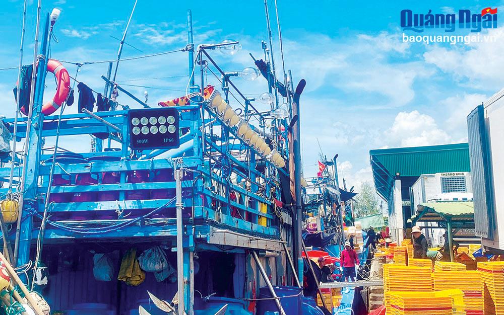 Hướng đến nghề cá hiện đại 