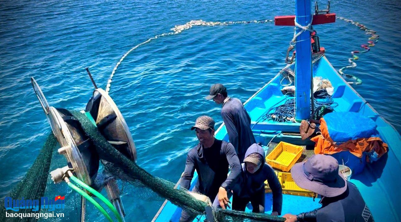 [Photos]. Ngư dân vây lưới bắt cá