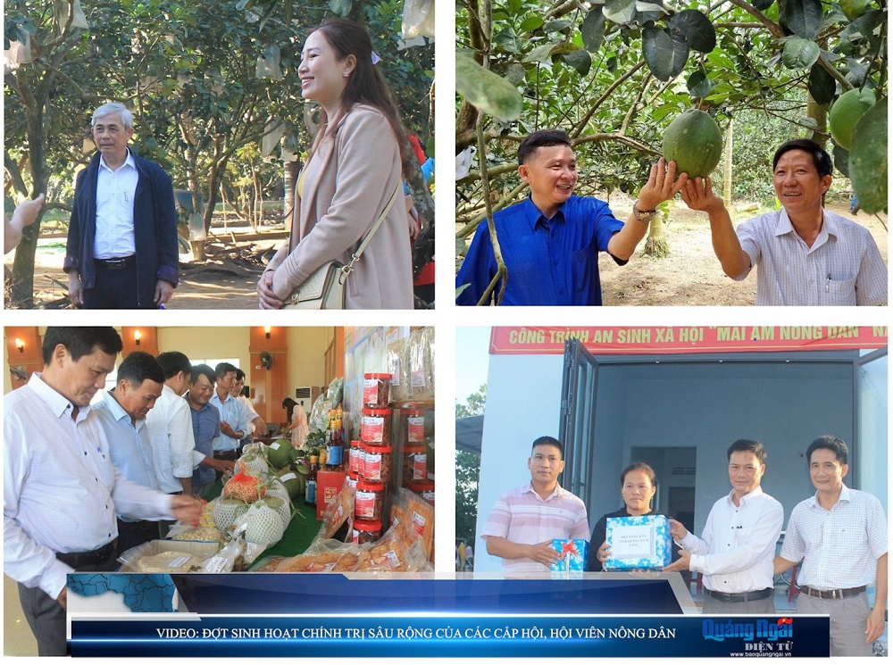 Video: Đợt sinh hoạt chính trị sâu rộng của các cấp hội, hội viên nông dân