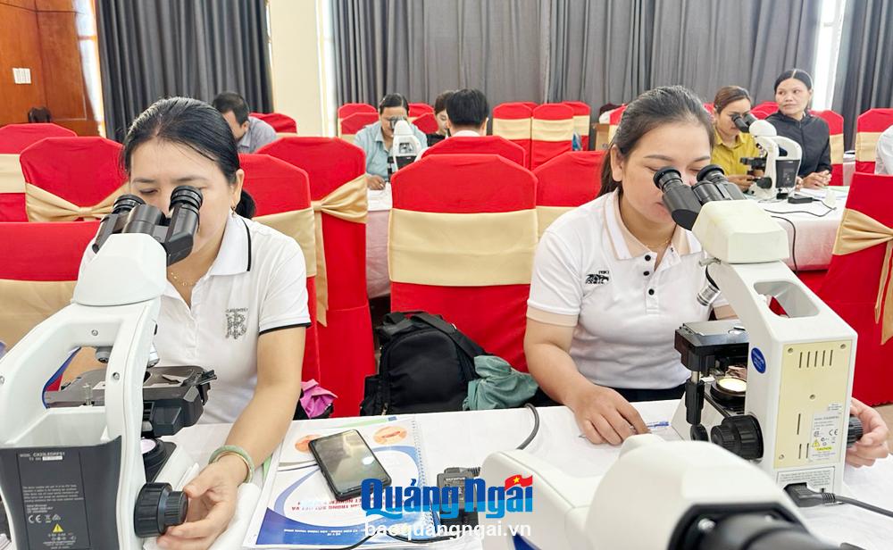 Nâng cao kỹ năng chẩn đoán sốt rét bằng kính hiển vi và test chẩn đoán nhanh 