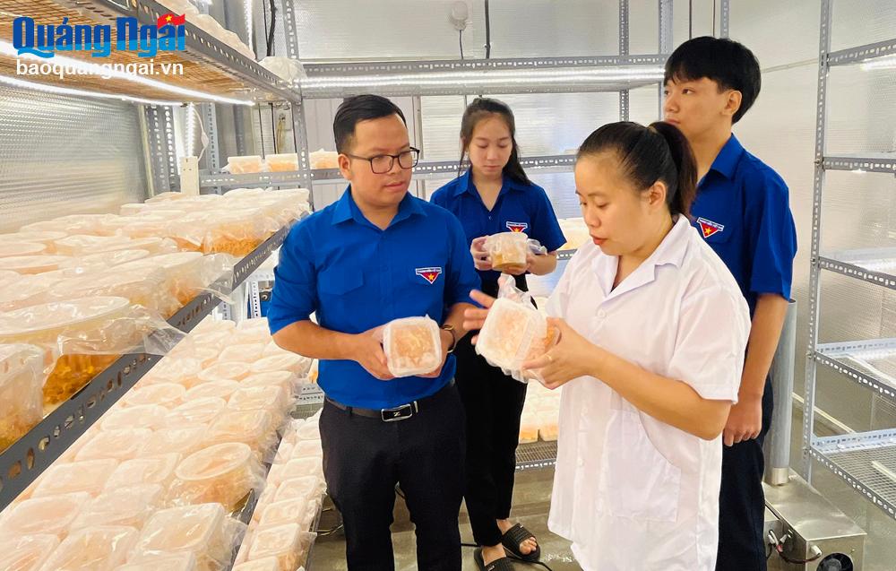 Thúc đẩy thanh niên khởi nghiệp