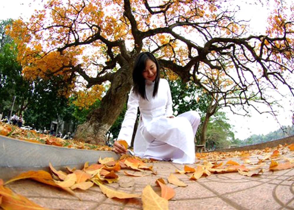 Dịu dàng tháng Tám