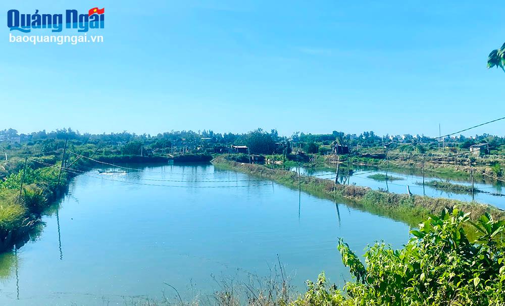 Dự án cảng cá Tịnh Hòa: Sớm tháo gỡ vướng mắc 