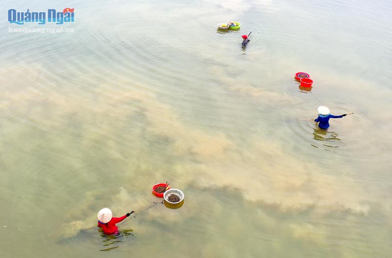 Tản mạn sông Trà Khúc