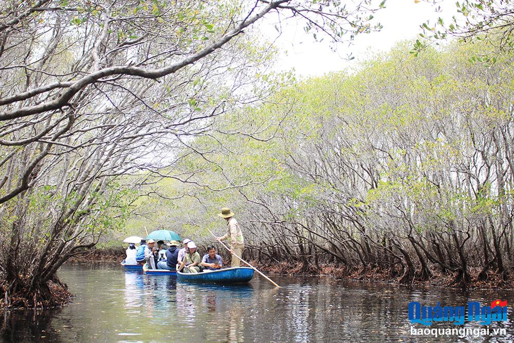 Giải quyết những thách thức về môi trường toàn cầu: Nhìn từ một dự án