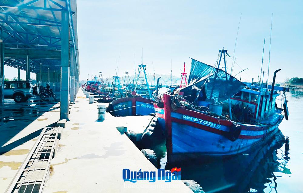 Xử lý dứt điểm tồn tại trong quản lý tàu cá