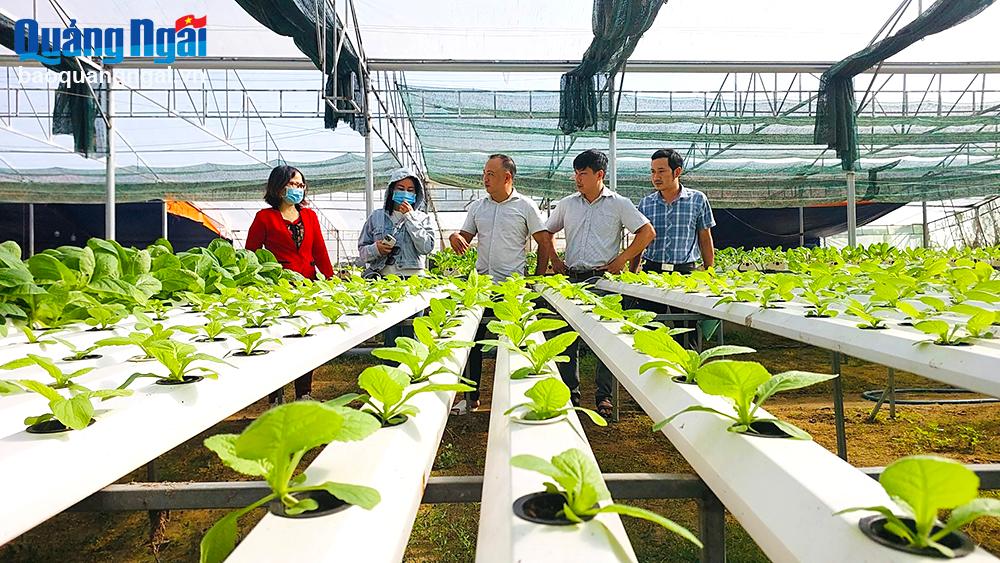 Xây dựng nông thôn mới: Nâng cao năng lực cho cán bộ cơ sở