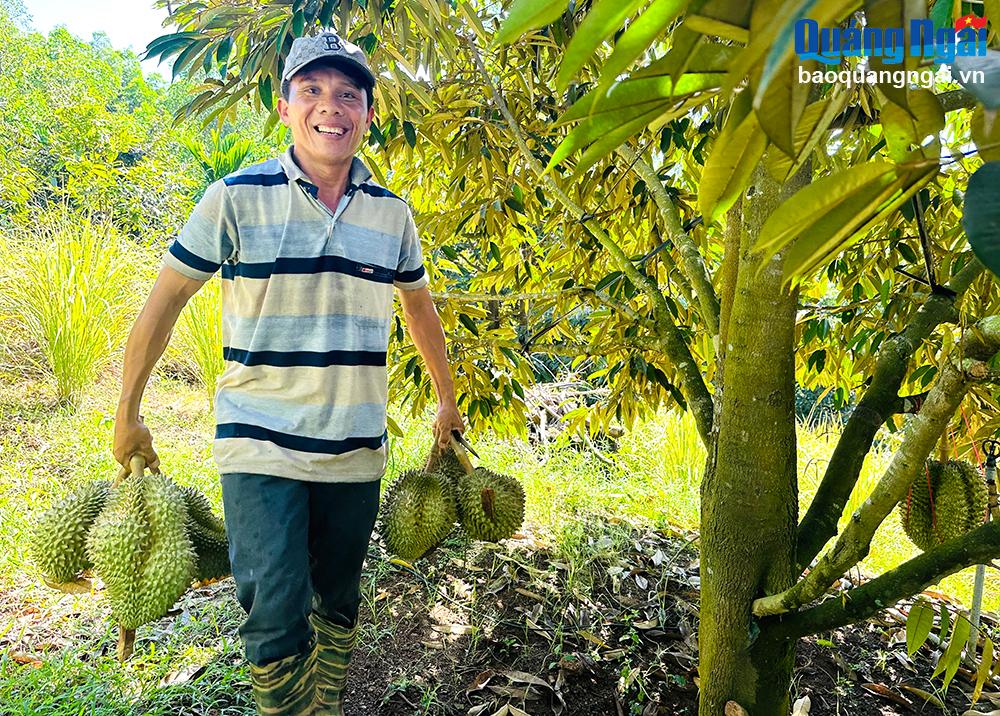 Đầu tư cho cây trồng chủ lực