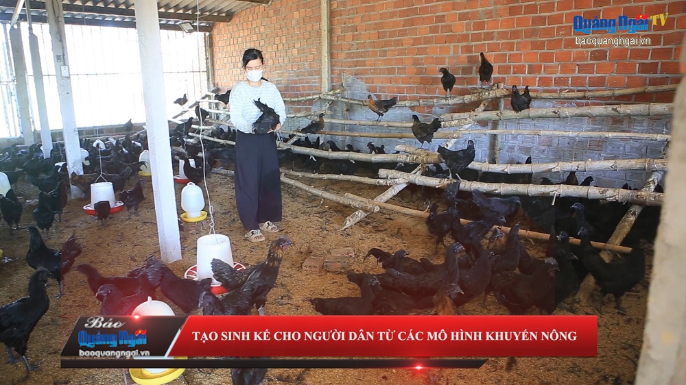 [Video]. Tạo sinh kế cho người dân từ các mô hình khuyến nông