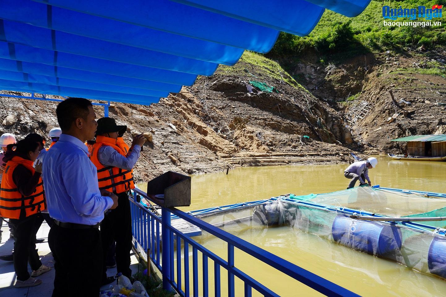 Giám sát về lĩnh vực thủy sản trên địa bàn Sơn Tây, Sơn Hà