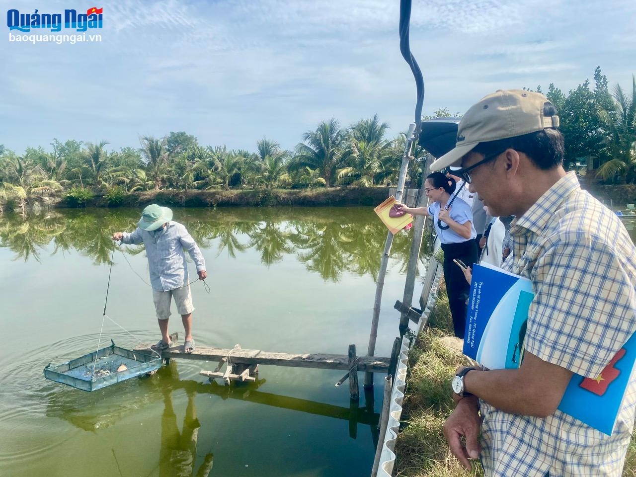 Giám sát về lĩnh vực thủy sản trên địa bàn huyện Tư Nghĩa