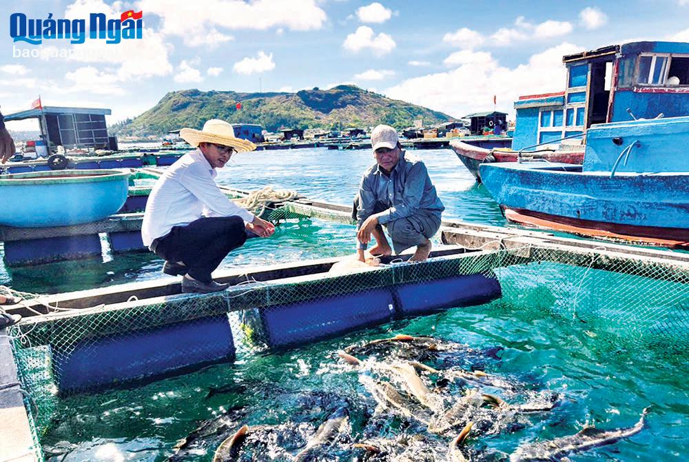 Đồng hành cùng người dân huyện đảo